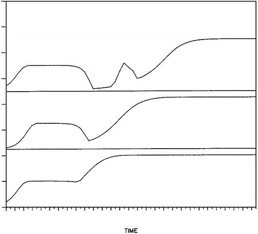 rev9813fig15a.jpg